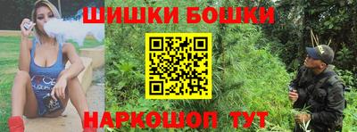 гидра Будённовск