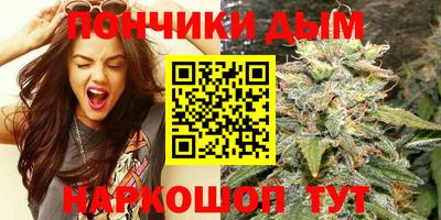 гидра Будённовск