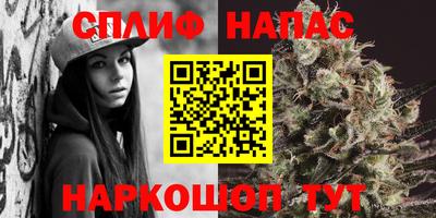 гидра Будённовск