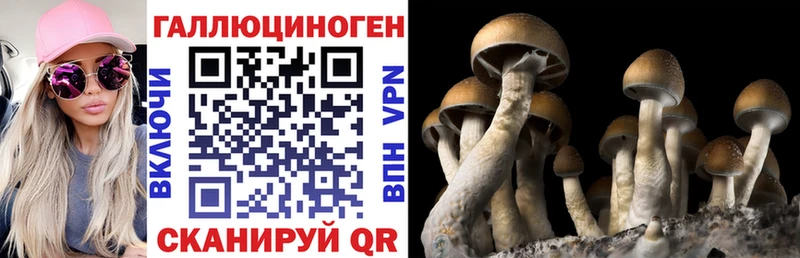 наркота  Калуга  Галлюциногенные грибы GOLDEN TEACHER 