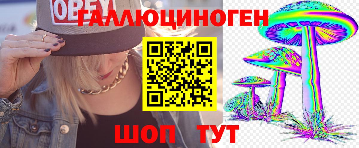 цены наркотик  Калуга  Псилоцибиновые грибы Cubensis 