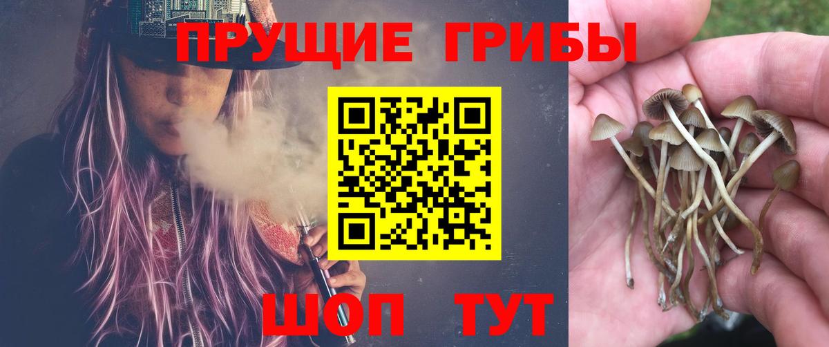 Псилоцибиновые грибы прущие грибы Калуга