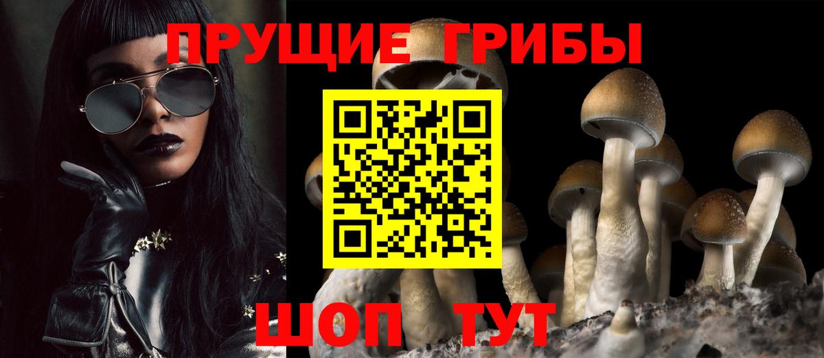 Псилоцибиновые грибы Psilocybine cubensis Калуга